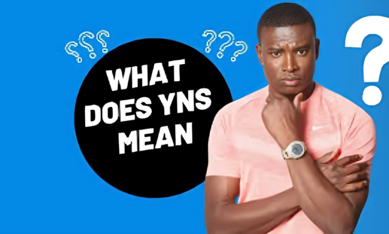 YNS Meaning