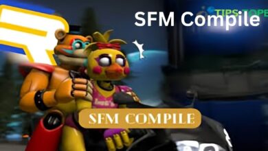 SFM Compile