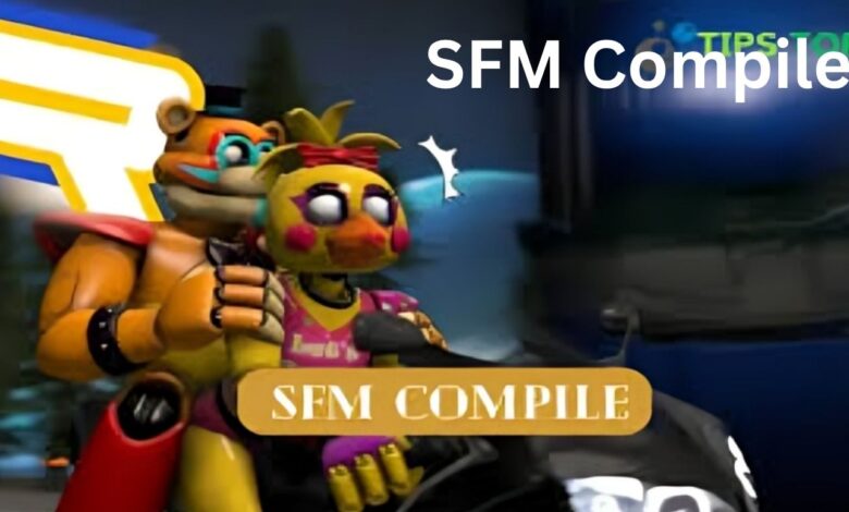 SFM Compile